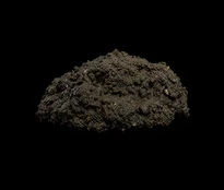 sewage sludge